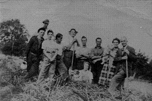 Litchfield harvest: l. to r. Regular farmworker, Bob Litchfield, Lad from London who helped, Italian POW, Joseph Litchfield, Italian POW, Lily Litchfield (seated), Italian POW, Mr and Mrs Buswell.